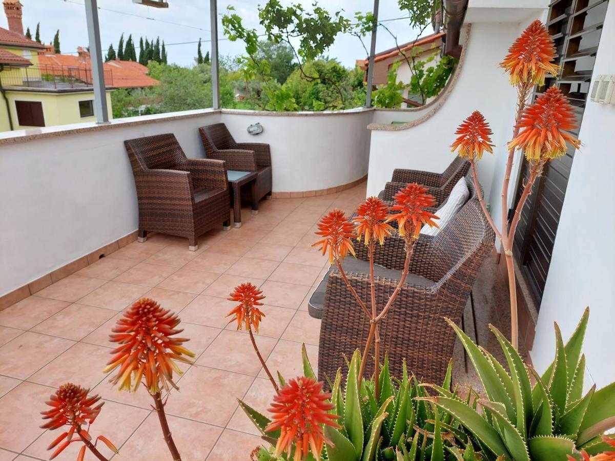 Apartment Apartma Marina Piran