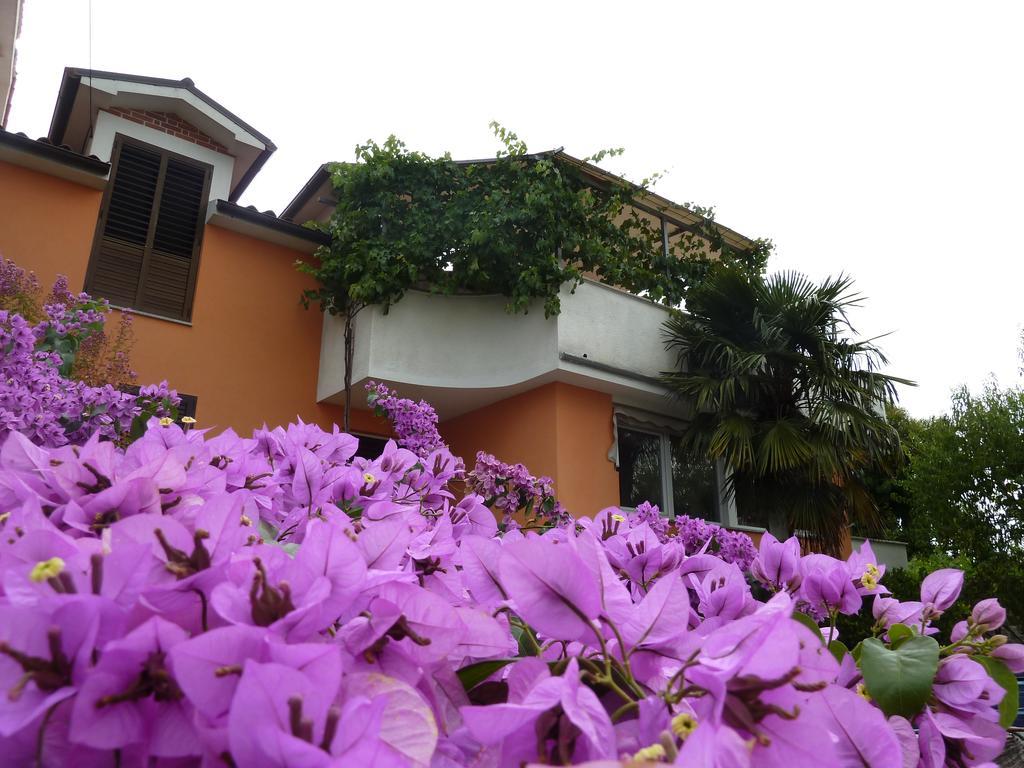Apartma Marina Apartment Piran